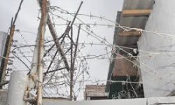 Күндүн темасы: Абактардагы ачкачылык жарыялагандардын талабы кандай?