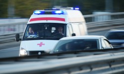 Адам өмүрүнө арача кесип