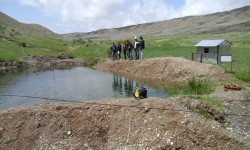 В Нарыне развивают рыбоводство