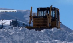 Ат-Башыга жааган калың кар элди оор абалга калтырды