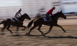 В день Нооруза пройдут конно-спортивные игры