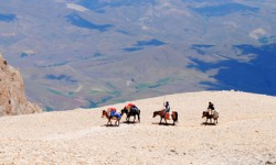 Жаздын жыты... тазалыктын жыты... (аудио)