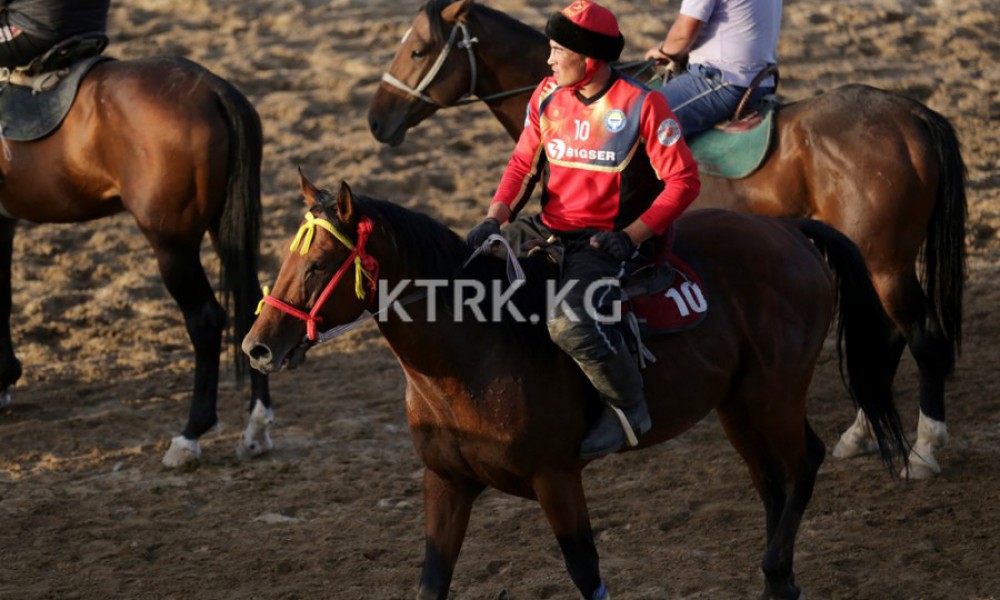 World nomad games: kok boru matches