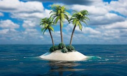 Нурмат Садыров пальмаларды алып кайда жөнөдү? (аудио) 