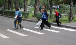 Запущена акция "Вместе за безопасность детей на дорогах"