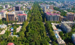 Бишкеку вернут звание одного из самых зелёных городов