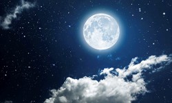 Салкынай Адыл деген ысымды уккусу келбейт (аудио)