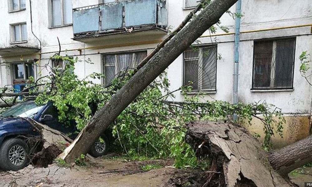 Москвадагы катуу шамалдын кесепетинен 15 адам каза болду 