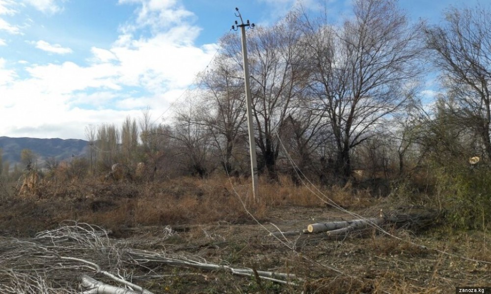 Села Таласской области остались без света из-за ветра