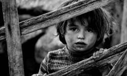 Ошол Эрмек менин уулум (аудио)