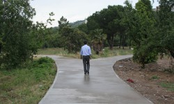 Баягы бактылуу көз ирмемдердин бири жок (аудио)