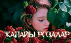 Радиосериал: Жапайы розалар 1 - серия (аудио)