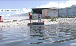 Рыбное хозяйство и пчеловодство - перспективные отрасли сельского хозяйства