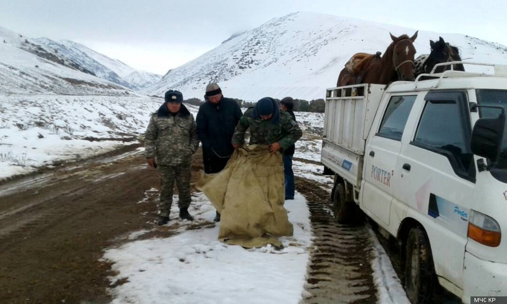 Чаткалда ашуудан өтө албай калган чабандарды алып келүү иштери улантылууда