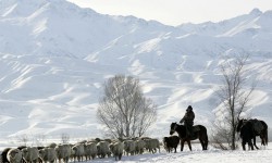 ӨКМ: ашуудан өтө албай калган чабандардарга жардам көрсөтүлдү