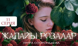 Радиосериал: Жапайы розалар 11-серия / Соңу (аудио)