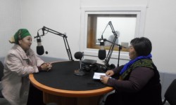 Гүлсүн Мамашева: Чыгармачылыктын ар бир канатында өзүмдү сынадым (аудио)