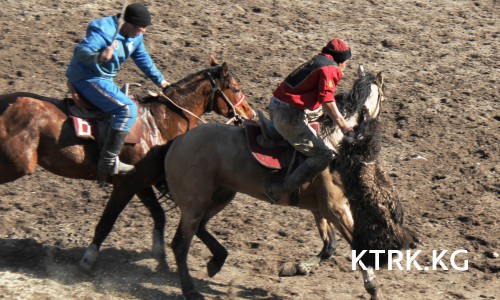 Турнир по кок-бору «Нооруз-2016»