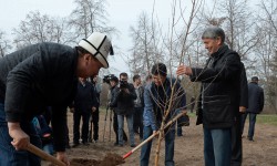 Президент Атамбаев ишембиликке катышты