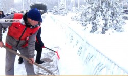 Последствия сильного снегопада 