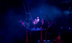 Будапештте эл аралык цирк фестивалы өттү