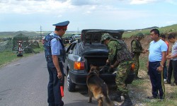 С момента вступления Кыргызстана в ЕАЭС началась контрабанда ГСМ из Казахстана