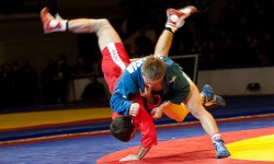 Сокулукта самбо боюнча эл аралык мелдеш өтөт