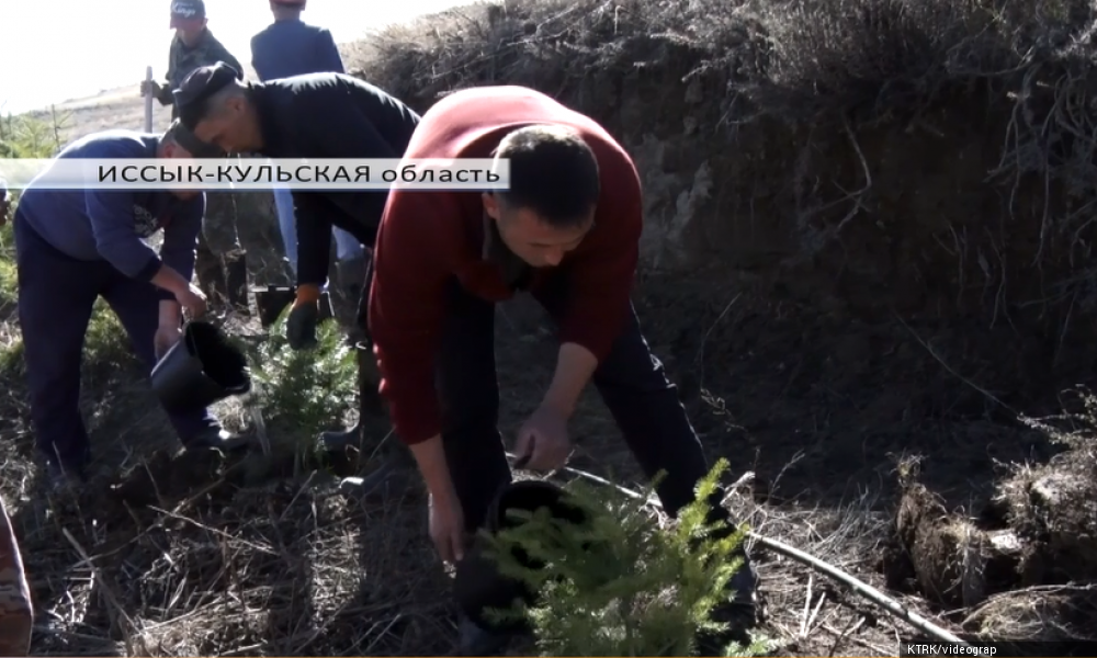 В рамках программы "Таза Жашоо" прошел субботник в Иссык-Кульской области