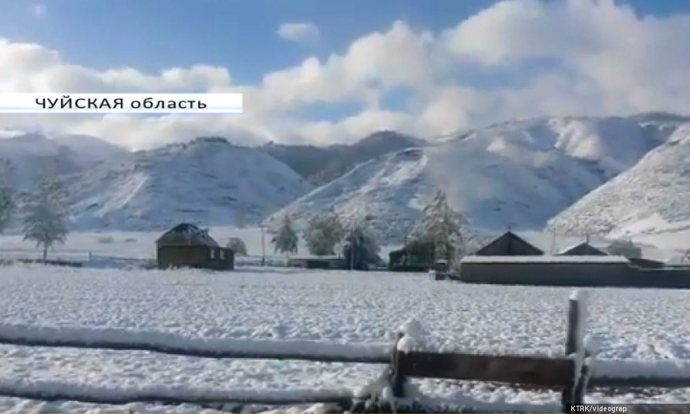 Из-за вчерашнего снега и шквалистого ветра многие жители пострадали