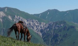 Эс алуу мезгилиндеги маселелер