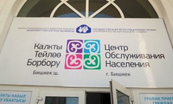 Паспорт алууда тийиштүү маалыматтардын жетишсиздиги ыңгайсыздыктарды жаратууда