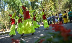 Сегодня в парке Фучика состоится концерт «Музыкальные вечера под открытым небом»