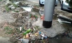 Элдик репортер: Ош шаарынын көркү кетип, көңүл бурган адам жок