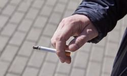 Көчмөндөр оюндары өтчү жайларда тамеки тарткандар айыпка жыгылат