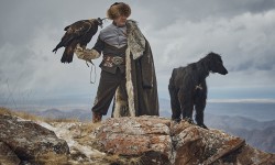 Бүркүт салууда Кыргызстан биринчиликти берген жок