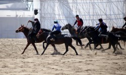 Көкүрөккө дем берип, көк буу бүрккөн көк бөрү!