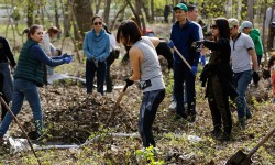 Кыргызстанда“Бүткүл дүйнөлүк тазалык күнүнө” карата массалык ишембилик өтөт