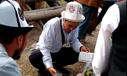 Элдик репортер: Көчмөндөр оюндарында атайын барып акысыз тамак тараткандар да болду