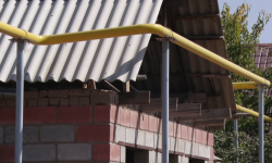 Борбор калаанын конуштарында көгүлтүр отко ээ болгондор көбөйүүдө