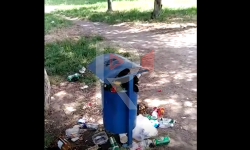 Элдик репортер: Таштандысы тазаланбаган сейил бак