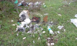 Элдик репортер: Чаткалда башаламан ташталган таштанды жаратылыштын көркүн бузууда