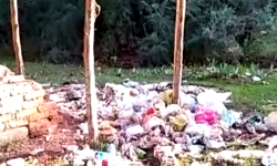 Элдик репортер: Таштандыга курчалган "Жети-Өгүз" курорту