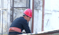 Борбор калаада кыш камылгасы кандай көрүлүүдө?