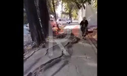 Элдик репортер: Басканга мүмкүн болбой калган тротуар