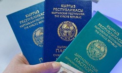 Жеке кызыкчылык үчүн колдонулган дипломаттык паспорттор