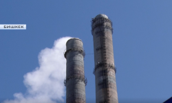 Кышка карата камылга кандай болууда?