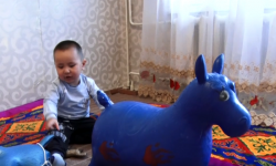 Интернет жылдызына айланган 3 жашар көк бөрүчү