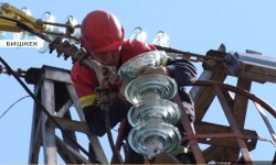 Кыргызстанда кышка камылга көрүү кызыды