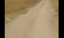 Элдик репортер: Мэриянын көңүл коштугунан 15 жылдан бери жарык, жол маселеси чечилбей келет