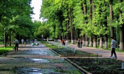 Элдик репортер: "Сейилбактын жер тилкесин ээлеген эргулдар ким?"